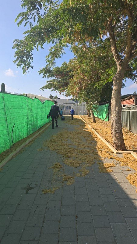 ילדי קריית עקרון חזרו היום למוסדות החינוך